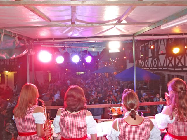 Sommerhausen 2012